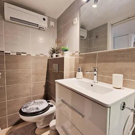 Le Cosy De Carole Apartment Cannes
